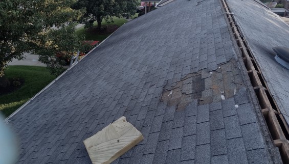 Shingle Replacement Before