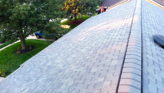 Shingle Replacement Final 1