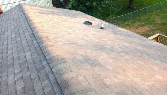 Shingle Replacement Final 1