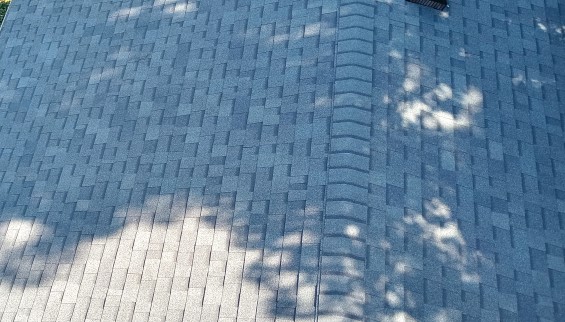 Shingle Replacement Final 2