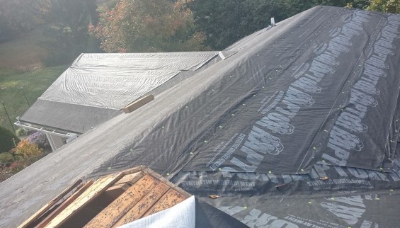 Shingle Roof Repairs 02