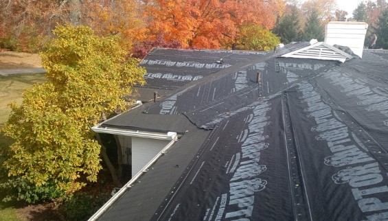 Shingle Roof Repairs 04
