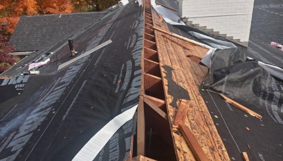 Shingle Roof Repairs 05