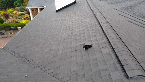 Shingle Roof Repairs 09