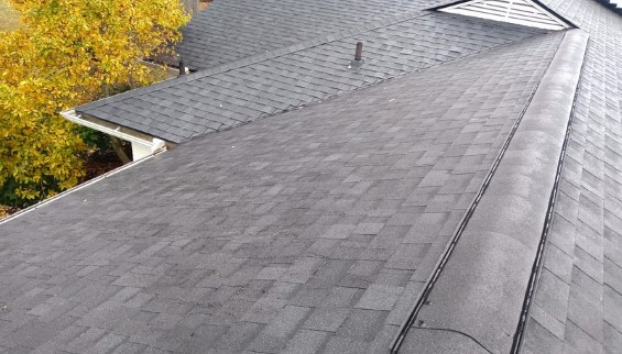 Shingle Roof Repairs 10