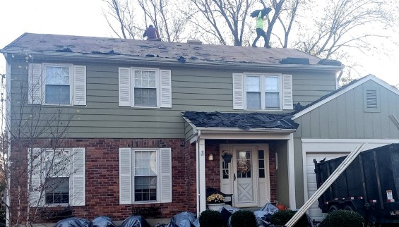 Shingle Roof Replacement 01