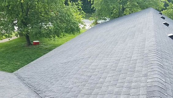 Shingle roof replacement