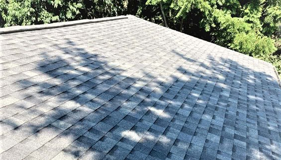 Shingle roof replacement