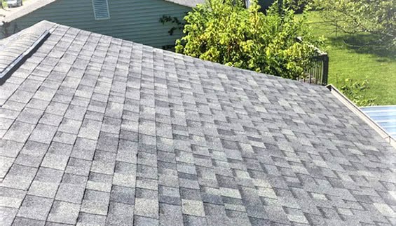 Shingle roof replacement