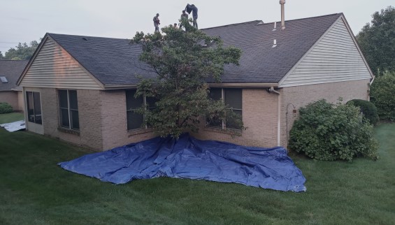 Shingle Roof Replacement Before 2