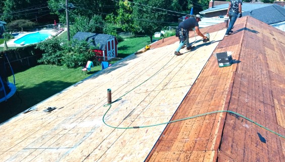 Shingle Roof Replacement During 01
