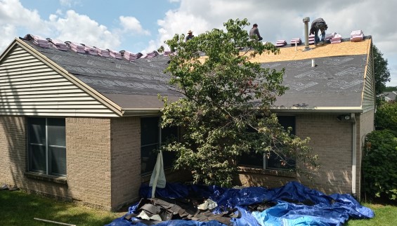 Shingle Roof Replacement During 2